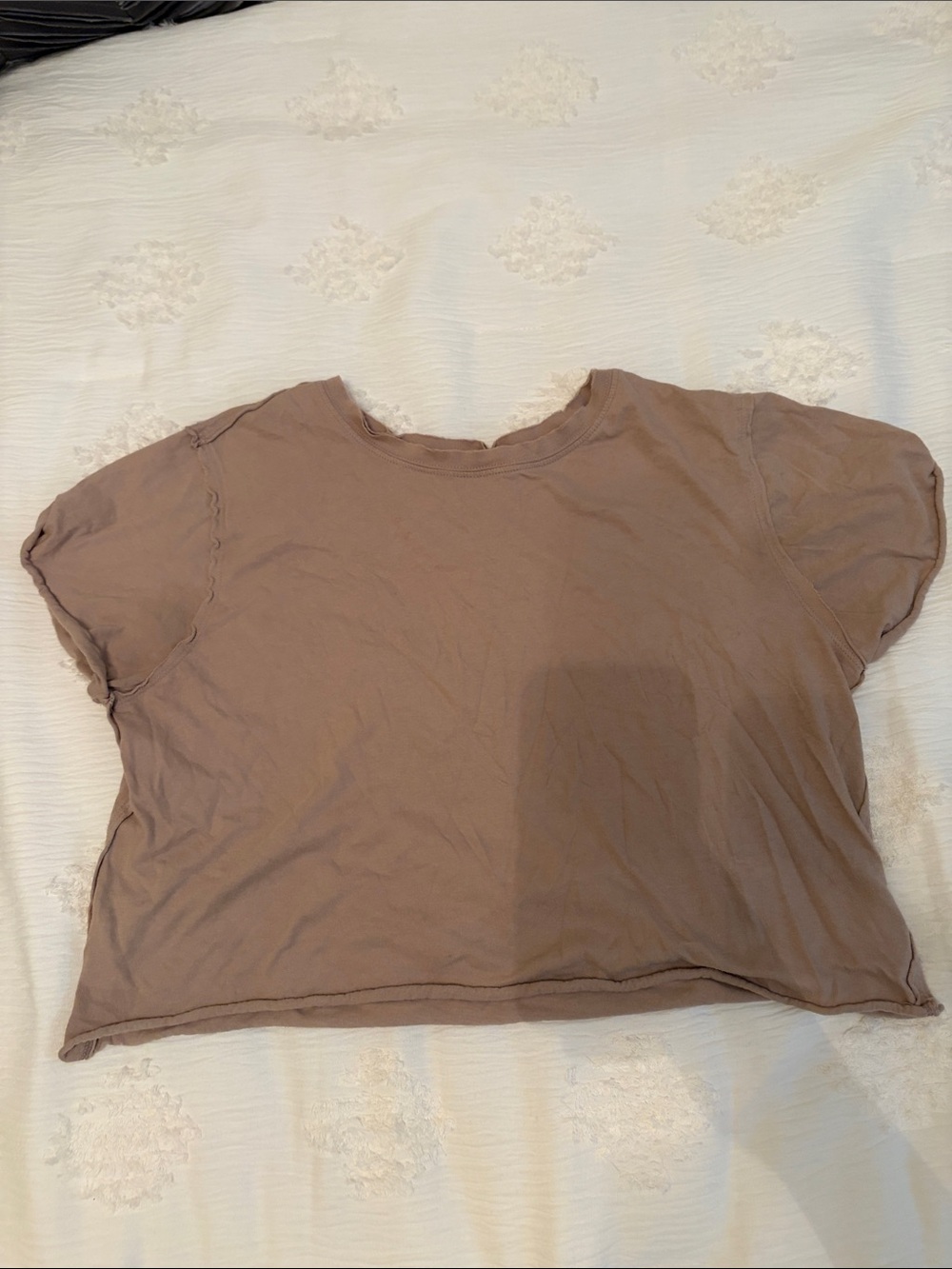 Free People Taupe Washed Crop Tee